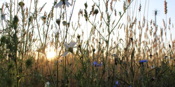 Août 2021 - Point de situation