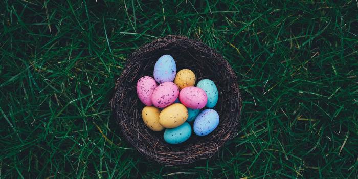 Avril 2023 - Point de situation