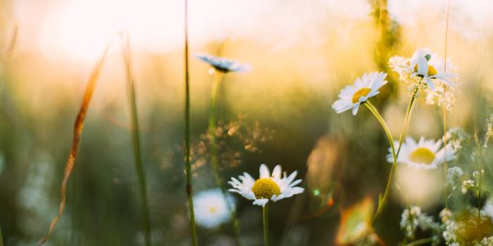 Mars 2023 - Point de situation