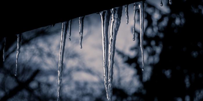 Février 2021 - Point de situation