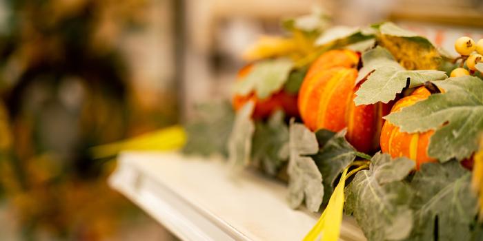 Novembre 2022 - Point de situation