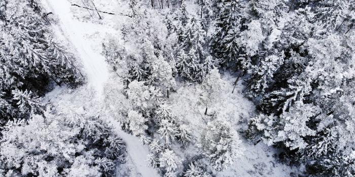 Janvier 2021 - Point de situation